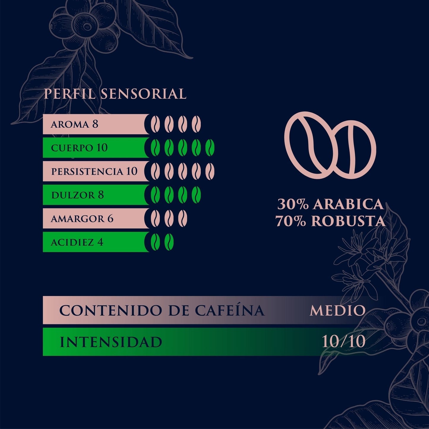Omero Espresso Superior, Café Italiano en Cialde Monodosis ESE 44mm